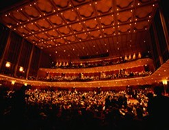 Arena